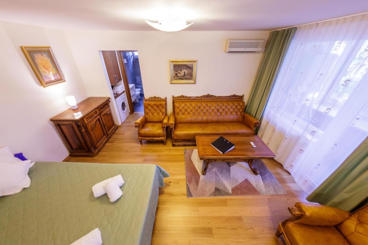 Apartament Family Rivulus 8 Baia Mare Exterior foto